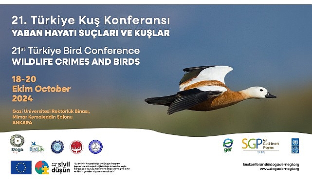 21. Türkiye Kuş Konferansı 18-20 Ekim 2024’te Yaban Hayatı Suçları ve Kuşlar temasıyla Ankara’da.- Forum Haber
