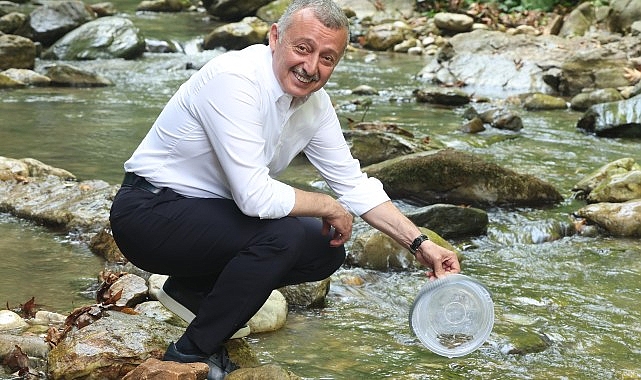 İzmit Körfezi’ne 6 bin balık daha salınacak- Forum Haber