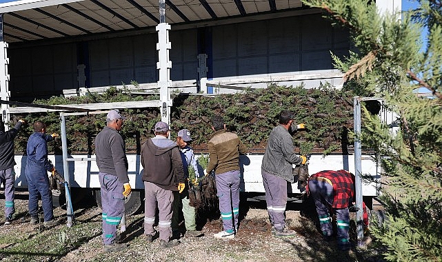 Nevşehir tarihinin en büyük ağaçlandırma seferberliği başlıyor.- Forum Haber