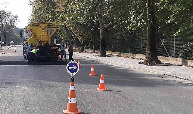 Yollarda öncelik yaya ve araç güvenliği- Forum Haber