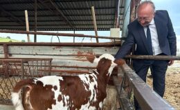 Selendili Üreticilere “Tek Dam Projesi” Anlatıldı- Forum Haber