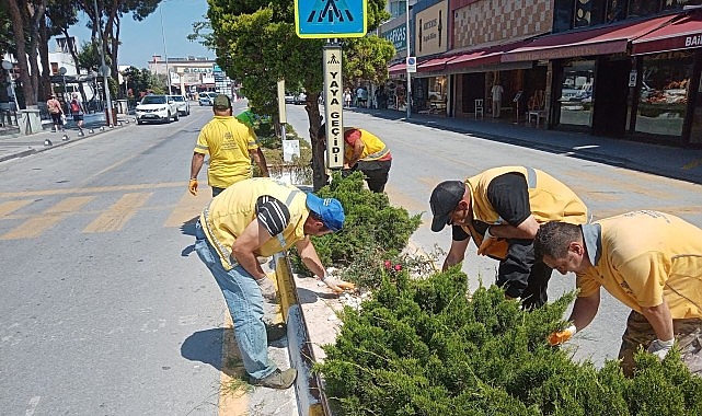 Başkan Çerçioğlu’nun Hizmetleri Kuşadası’nı Doğanın Yeşil Tonları ile Buluşturuyor- Forum Haber