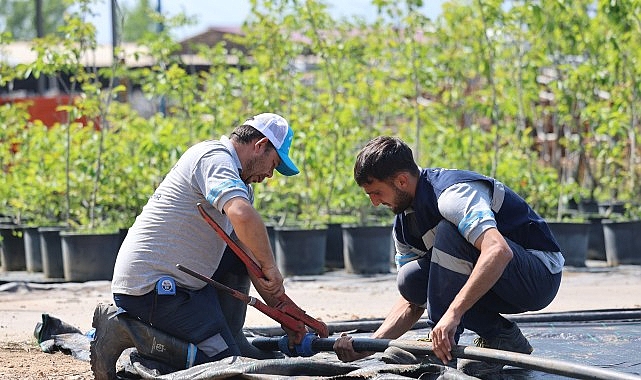 Büyükşehir’in fidanlığı Kocaeli’ni yeşillendiriyor- Forum Haber