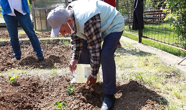 İstanbullu Halk Bostanlarını Çok Sevdi- Forum Haber