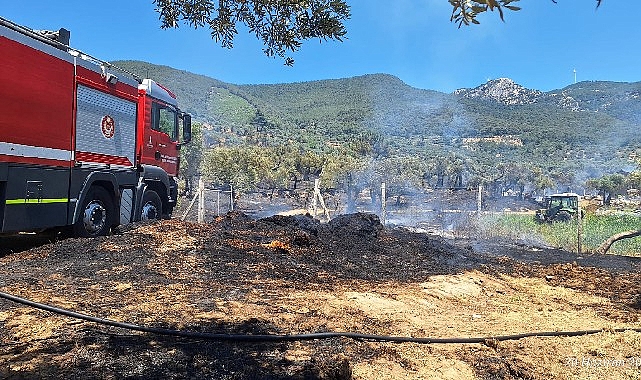 İzmir İtfaiyesi Torbalı, Kınık ve Menderes’teki yangınlara müdahale etti- Forum Haber