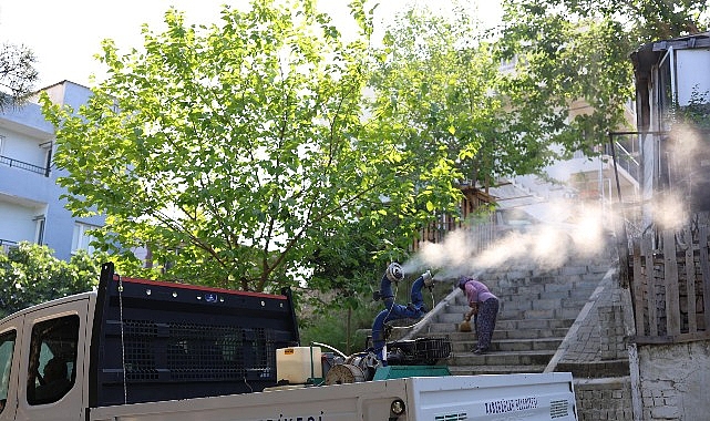Karabağlar’da Haşerelere Karşı İlaçlama Seferberliği- Forum Haber
