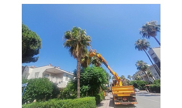 Kemer’de yeşil alanlarda bakım çalışmaları – Forum Haber