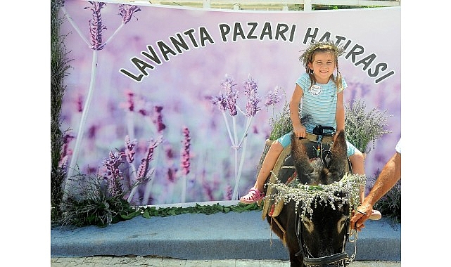 Mis Gibi Şenlik: Seferihisar’da Lavanta Büyüsü Başlıyor- Forum Haber