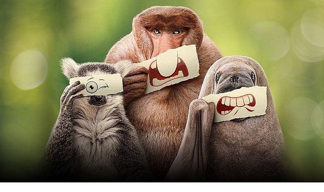 Ryan Reynolds’ın Anlatımıyla ‘Ötekiler’, 21 Haziran Cumartesi 20.00’de National Geographic WILD Ekranlarında İzleyicilerle Buluşuyor!- Forum Haber