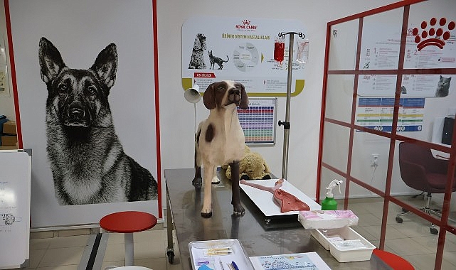 Uludağ Üniversitesi Klinik Beceri Laboratuvarı Açıldı- Forum Haber